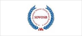 SDVOSB